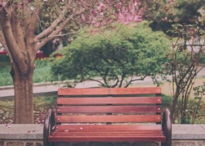 Контрольная точка: три стиля, которые преобразят ваш сад